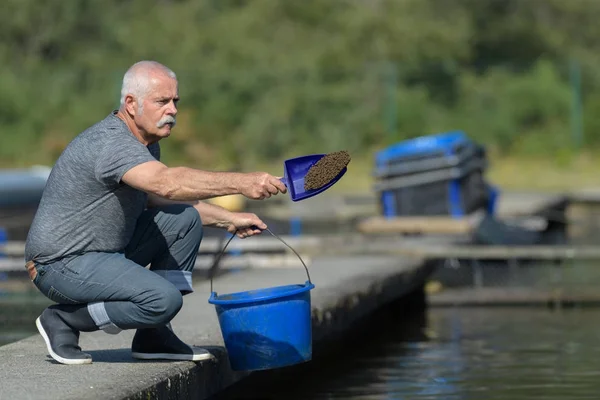 Человек кормит рыбу, выращиваемую на коммерческой основе — стоковое фото