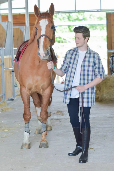 Cavaliere con cavallo e cavallo — Foto Stock