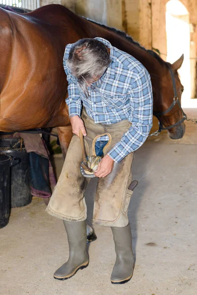 Podkovář při práci na kopyto koně — Stock fotografie