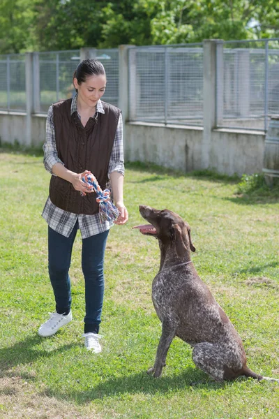 Engagiertes Mädchen trainiert Hund im Zwinger — Stockfoto