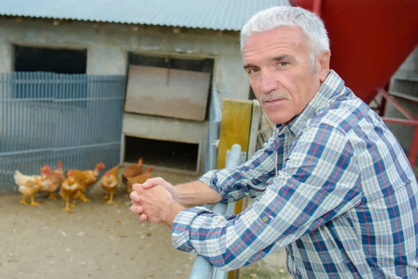 Avicultor con gallinas camperas — Foto de Stock