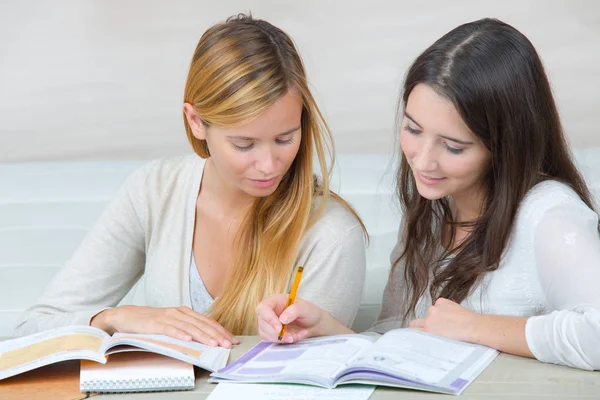 Meninas amigos estudando juntos — Fotografia de Stock