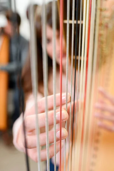 Woman playing the harp — Stock Photo, Image
