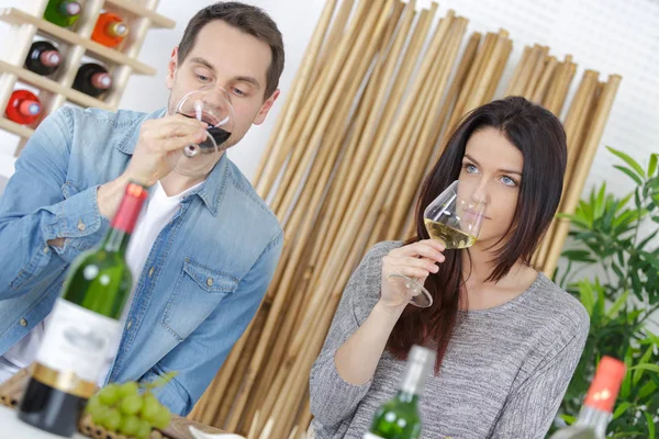 Das Weinexpertenpaar — Stockfoto