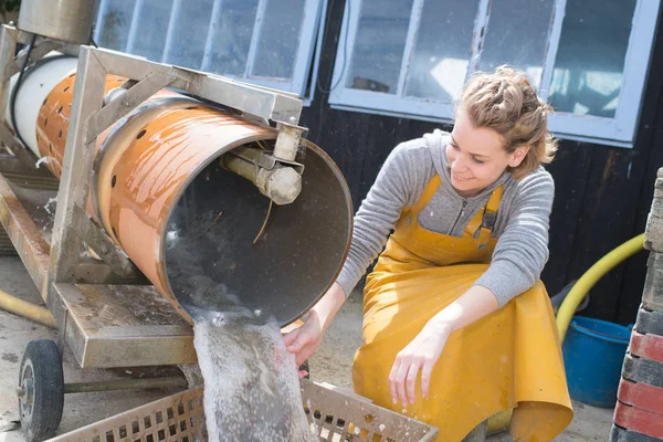 Donna nella fabbrica di pesca — Foto Stock