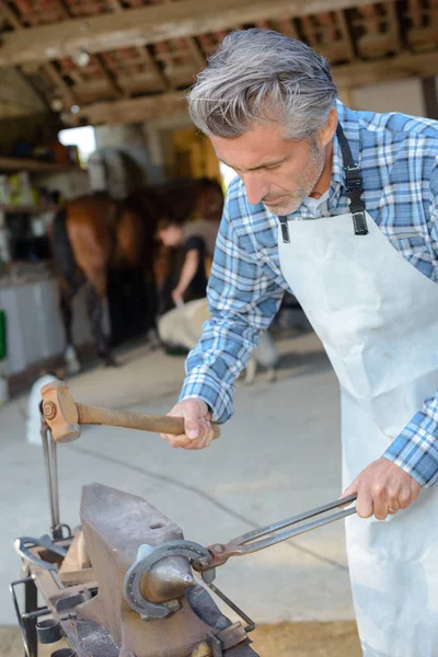 Shaping the hoofs and work — Stock Photo, Image