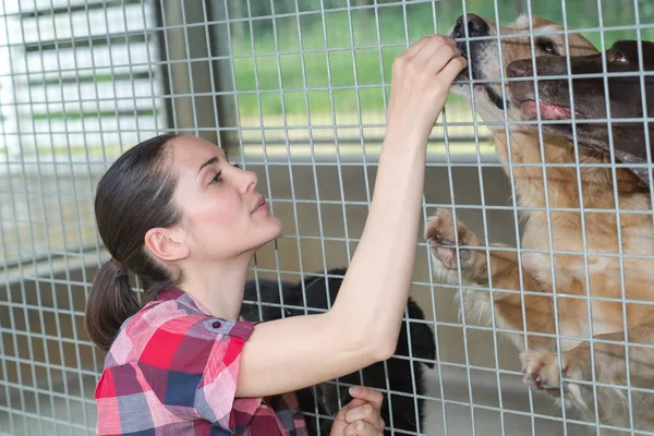 Весела жінка дає собаці цукерки через паркан — стокове фото