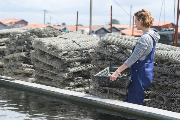 Woman carrying basket of oysters — Stock Photo, Image