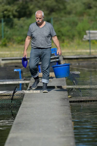 Aged fish farm employee — Stock Photo, Image