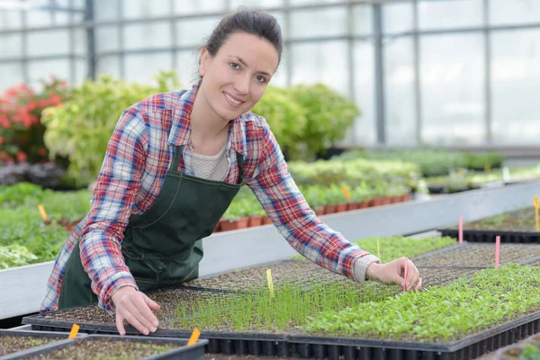 Schöne Frau bei der Gartenarbeit und lächelt in die Kamera — Stockfoto