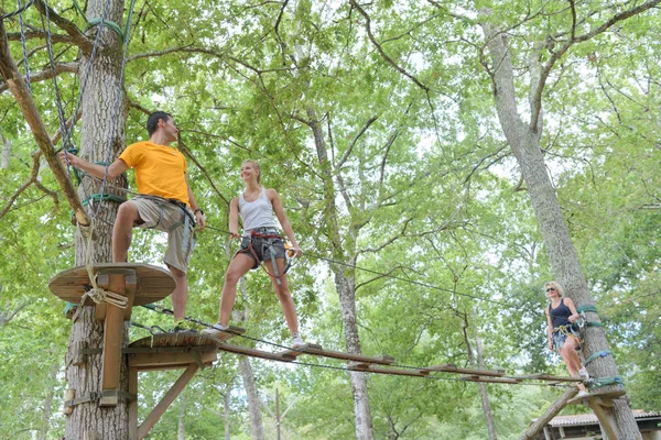 Jonge mensen met plezier in de bomen in avonturenpark — Stockfoto