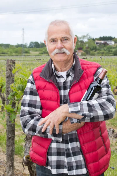 L'attività vitivinicola — Foto Stock