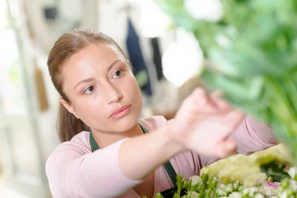 Trabalhando como florista — Fotografia de Stock