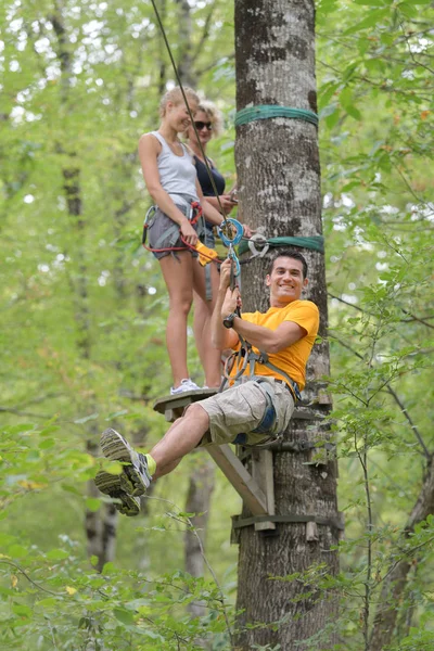 Corsa ad ostacoli albero e albero — Foto Stock