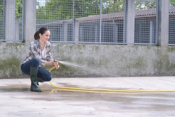 Tempo de limpeza para assistente de canil — Fotografia de Stock