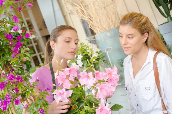 Florist erklärt etwas und Jubiläum — Stockfoto