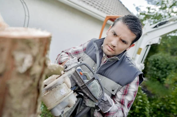 Sawing into a tree trunk — Stock Photo, Image