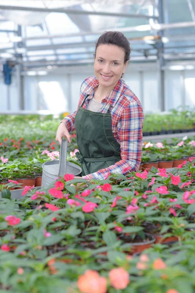 Agradable atractivo profesional riego flores —  Fotos de Stock