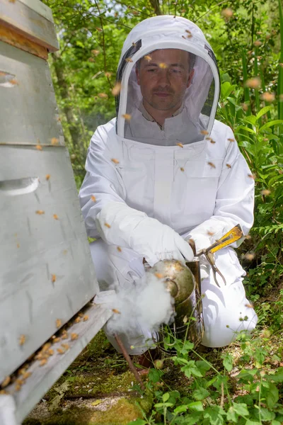 Bee rozptýlení pomocí kuřák — Stock fotografie