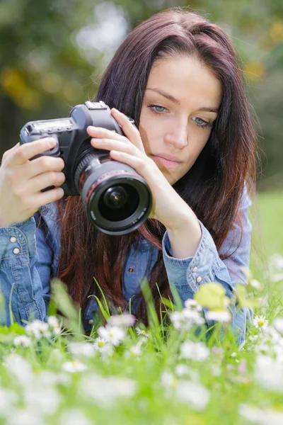 Female photographer taking photo of flowering roses in summer day — Stock Photo, Image
