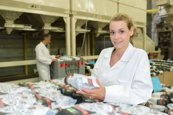 Portret van vrouwelijke fabriek operatieve — Stockfoto
