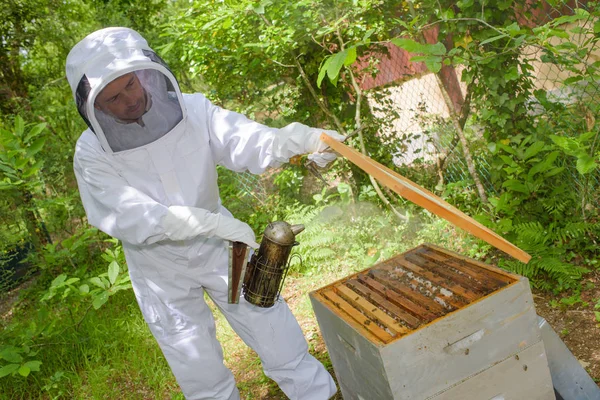 Apicultor que fuma colmeia e apicultor — Fotografia de Stock