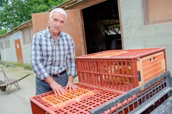 Voorbereiding voor de levering van pluimvee — Stockfoto