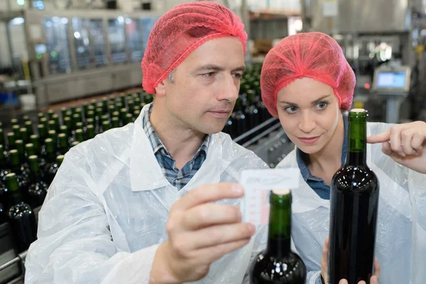 Positiv leende expert kvinna med medarbetare på vin fabrik — Stockfoto