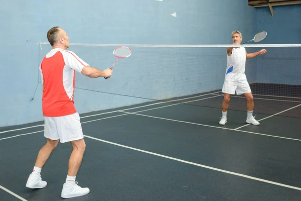 Pals, badminton en badminton spelen — Stockfoto