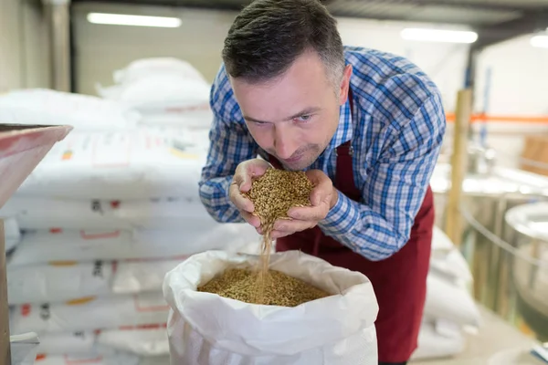 Propietario de negocio oliendo granos de café recién tostados —  Fotos de Stock