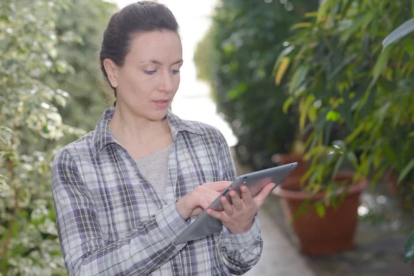 Señora por plantas en maceta usando tableta — Foto de Stock