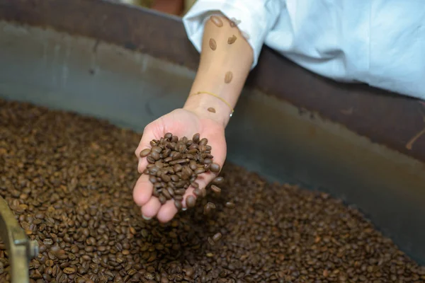 新鮮な焙煎コーヒー豆 — ストック写真