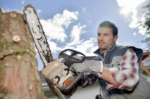 Homme tronc de sciage à chaîne de l'arbre — Photo