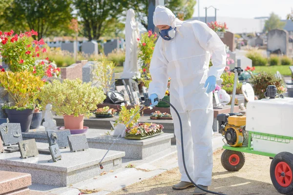 Matando malas hierbas en el cementerio — Foto de Stock
