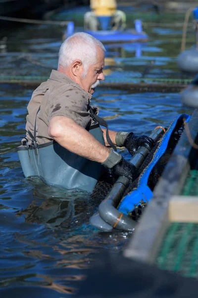 Senior Arbeiter in Fischzucht — Stockfoto