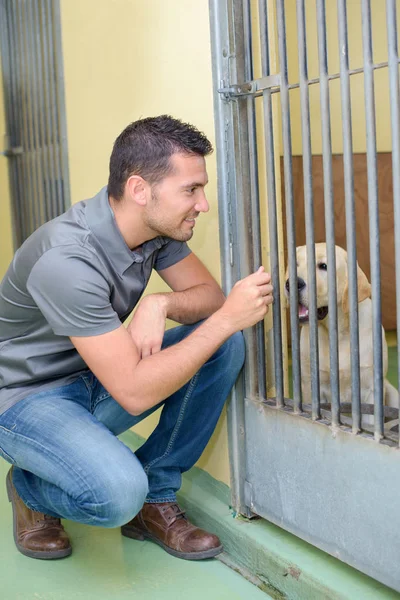 犬と犬小屋のドアを通って話している男性 — ストック写真