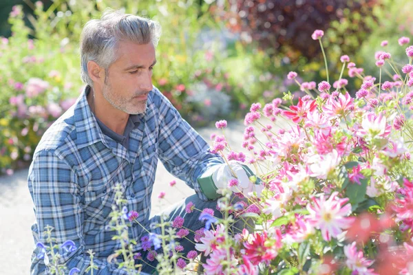 Bonito jardineiro alegre cuidando de flores — Fotografia de Stock
