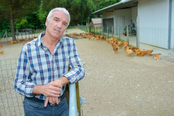 Mezőgazdasági termelő, csirke ól mellett — Stock Fotó