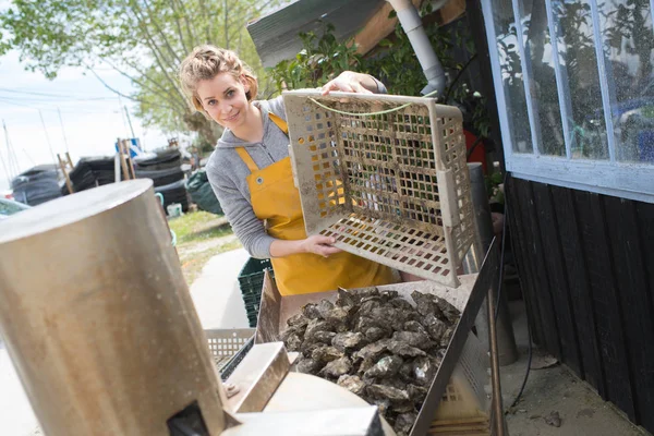 Kvinna oyster skördare och ostron — Stockfoto
