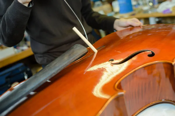 Сломанная виолончель и лютнист — стоковое фото