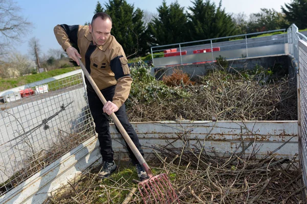 Kratta grenar och arbete — Stockfoto