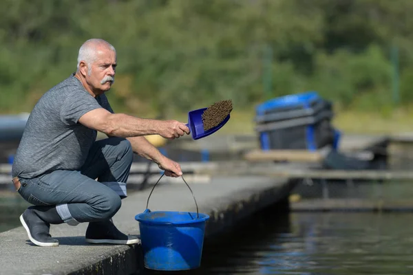 Man feed vissen op een viskwekerij — Stockfoto