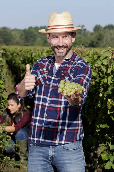 Agricultor feliz mostrando uvas e polegar-up para a câmera — Fotografia de Stock