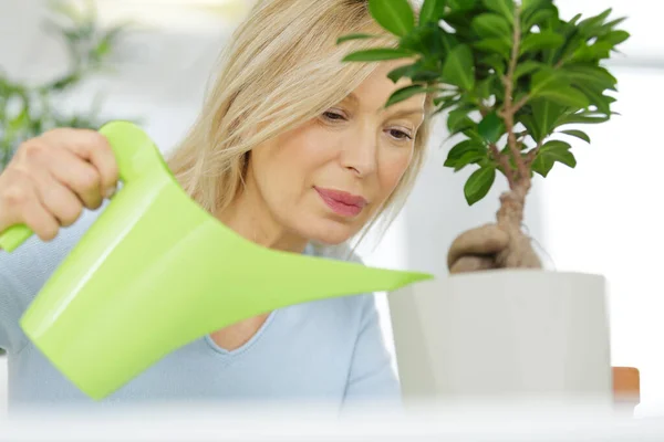 Uma mulher madura regando planta de sala — Fotografia de Stock