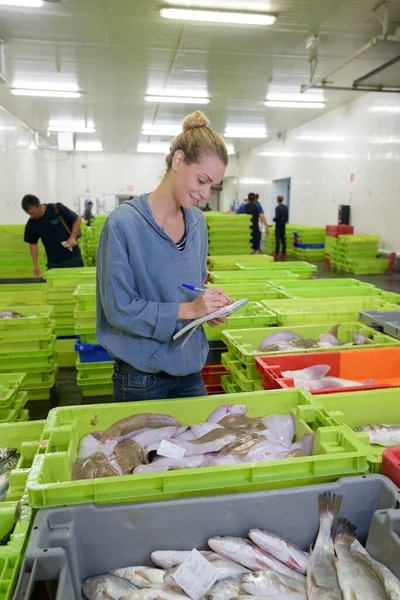 Woman working in fish factory — ストック写真