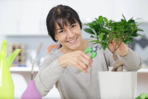 Mujer madura recortando un bonsái — Foto de Stock