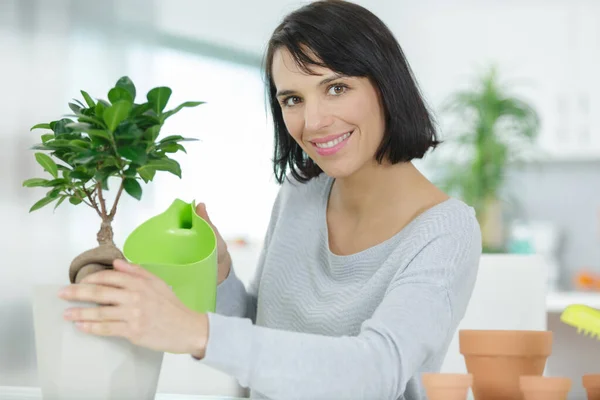 Mulher feliz molhando um bonsai — Fotografia de Stock