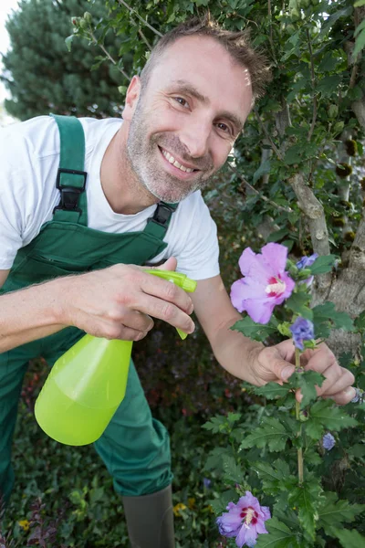 Um jardineiro bonito pulveriza flores — Fotografia de Stock