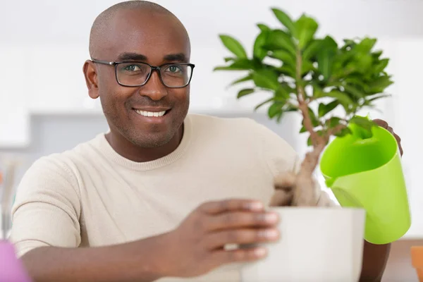 Homem cuidando de um bonsai — Fotografia de Stock