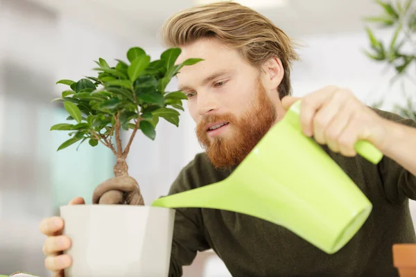 Taking care of a bonsai — Stock Photo, Image